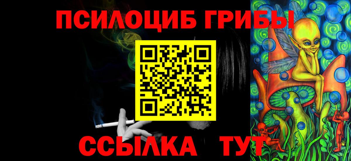 Галлюциногенные грибы Psilocybine cubensis  Вход с VPN  Ливны 